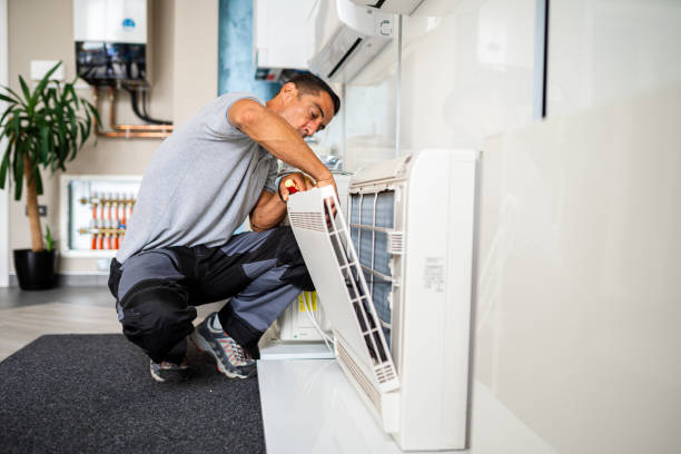 Best Air Duct Sanitizing Services  in Wabasha, MN