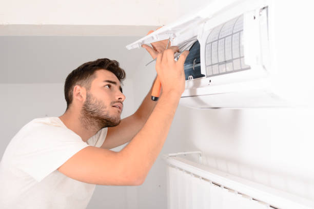 Best Duct Cleaning for Homes  in Wabasha, MN