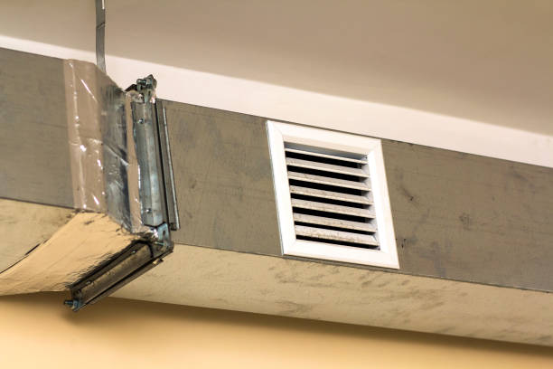 Best General Air Duct Cleaning  in Wabasha, MN